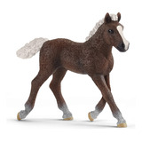 Schleich Farm World, Juguetes De Caballos Para Ninas Y Ninos