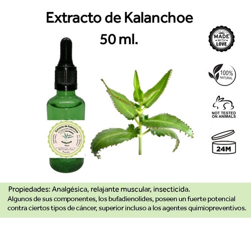 Extracto De Kalanchoe 50 Ml - Tintura Madre 100% Natural 