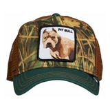 Gorra Goorin Bros Perro Pitbull Camoflageada 100% Original