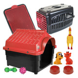 Kit Casa Para Cães Caixa De Transporte N3 Cachorro Sanitario