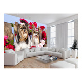 Papel De Parede Animais Cachorros Yorkshire  9m² Anm363