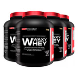 Combo 4x Whey Protein Waxy Whey 2kg - Bodybuilders