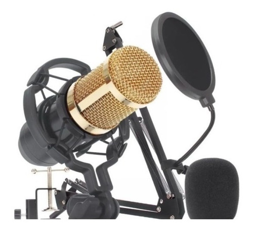 Kit Microfone Estúdio Bm800 + Aranha + Braço + Pop Filter