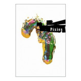 Dvd Pixies