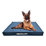  Colchon Cama Perro Antidesgarro Funda Extraible  85x65x10 L