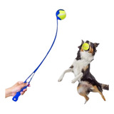 Juguetes Mascotas Lanzador Pelotas Plástico Incluye Pelota