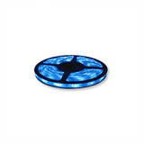 Tira Led Exterior 5m Colores Varios / Transformador 10pz Jwj