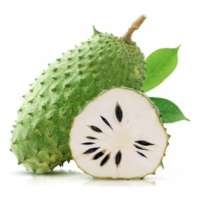 Guanábana Enana Fruto Gigante + Regalo + Abono | Envío gratis