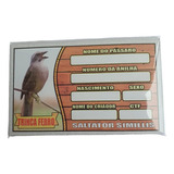 Placa De Identificação Aves - Trinca Ferro - 4 Unid