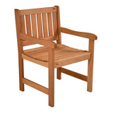 Cadeira Para Jardim Metalnew Lyptus 58cm Madeira 