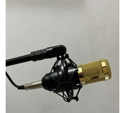 Microfone Estúdio Bm800 + Tripé Próprio
