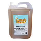 Detergente Concentrado 30% Dilucion 1+3 - 3 X 5l 