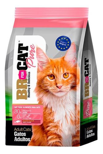 Br For Cat Adulto Salmon X 10 Kg