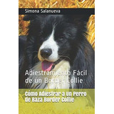 Cómo Adiestrar A Un Perro De Raza Border Collie: Adiestramie