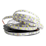 Cinta Led Blanco Frío Tira 5mts 12v 4040 60led/m Eficiente