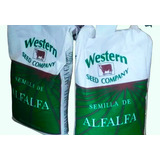 Semilla De Alfalfa San Miguelito Peletizada 2 Sacos De 20kg 
