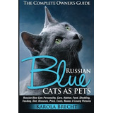 Gatos Azules Rusos Como Mascotas Cuidado De La Personalidad 