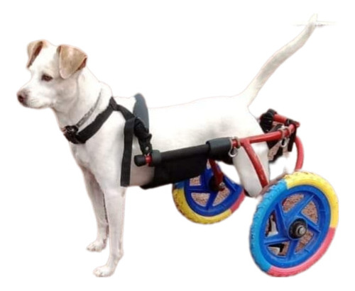 Carrito Para Mascotas Marca Turbocan R12 2r