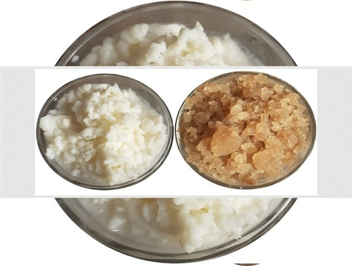 Kefir De Leite E Kefir De Água Frete Livre Com Brinde+código