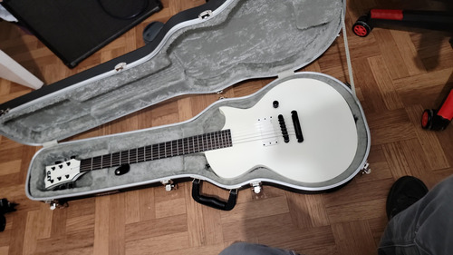 Guitarra Ltd Ec Artic Metal Con Estuche