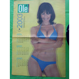 Calendario Coleccionable Diario Ole Fanatica De Boca 2003