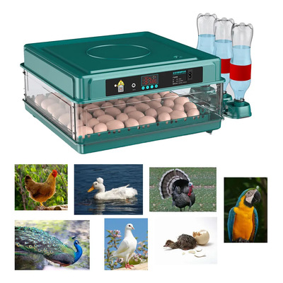 Incubadora De 64 Huevos Para Pollos Y Aves Con Giro Automático, Manual En Español Y Conexión A Baterías | Envío gratis