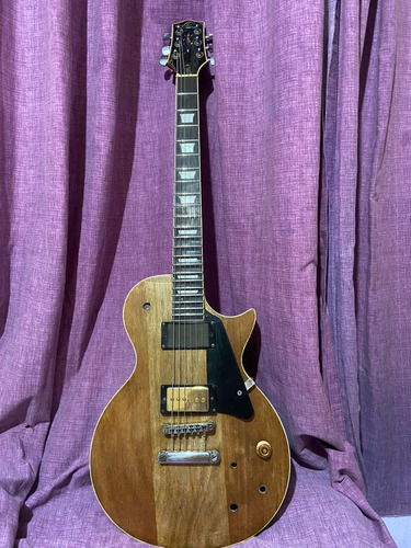 Les Paul Oscar Schmidt By Washburn No Gibson No EpiPhone 