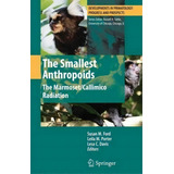 The Smallest Anthropoids : The Marmoset/callimico Radiation, De Susan M. Ford. Editorial Springer-verlag New York Inc., Tapa Blanda En Inglés