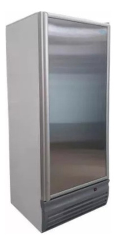 Freezer Exhibidor Vertical Fam 420bt Baja Temperatura -18ºc