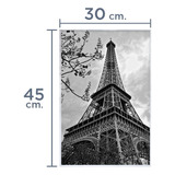 Impresión De Lámina Medida 30x45 Papel Fotográfico Calidad