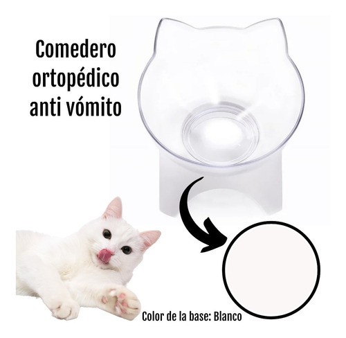 Comedero / Plato Gato Ortopédico Anti Vomito 13cm