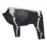 Disfraz De Perro Esqueleto De Halloween, Ropa Para 3xl