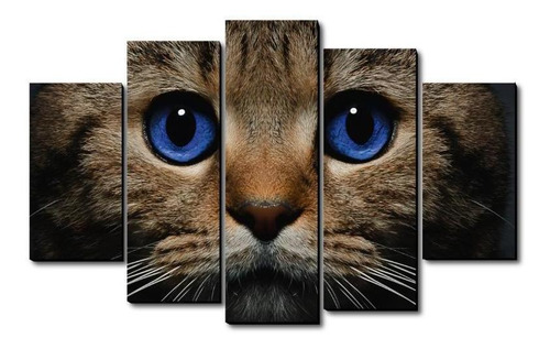 Cuadro Decorativo Gato Ojos Azules 100 Cm X 70 Cm