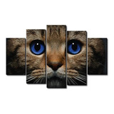 Cuadro Decorativo Gato Ojos Azules 100 Cm X 70 Cm