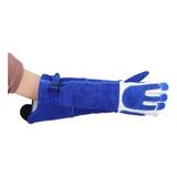 1 Par De Guantes Duraderos Para Entrenamiento De Animales, G