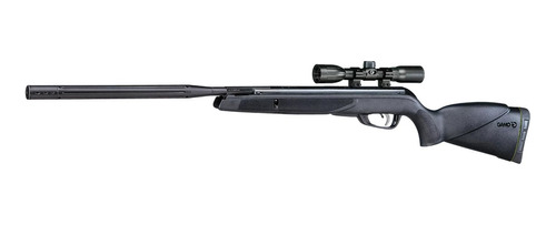 Rifle Gamo Deportivo Raptor Whisper Igt Cal.22  C/mira 4x32