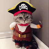 Disfraz De Pirata Para Gato O Perro Talla M Ropa De Fiesta