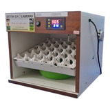 Incubadora 30 Ovos Semi-automática