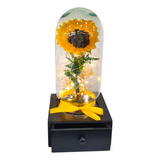 Girasol Eterno Nacional Con Joyero Y Led