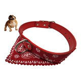 Collar Para Perros Con Pañuelo Estilo Fashion Rojo 53cm Xl