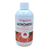 Monomero Profesional Wapizima Watermelon 08 Oz