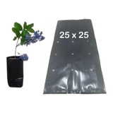 Saquinhos Para Mudas Saco Para Germinação 25x25cm - 1kg