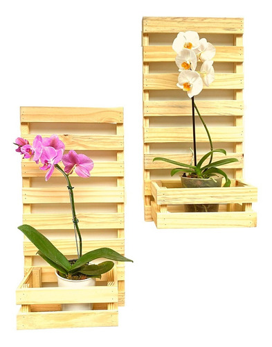 Suporte Para Plantas E Flores De Parede Kit 2 Orquideas