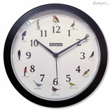 Relógio De Parede Decorativo Canto Dos Pássaros Do Brasil Cor Da Estrutura Preto Cor Do Fundo Branco
