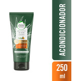 Acondicionador Herbal Essences Aloe Mango X 250ml