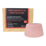 Shampoo Solido Pro Crecimiento Y Control Caída Chile Jojoba