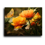 Cuadro Decorativo Canvas Mariposa Flores Arte Colores 80*120