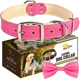 Collar De Perro Acolchado De Rosa Para Perros Hembras E...