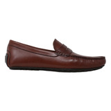 Mocasines Zapatos Hombre Cafés 1601 Gino Cherruti Piel