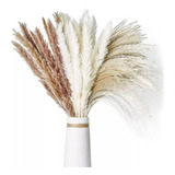 Pampas Secas 60 Pzs Plantas Decorativas Flores Artificiales